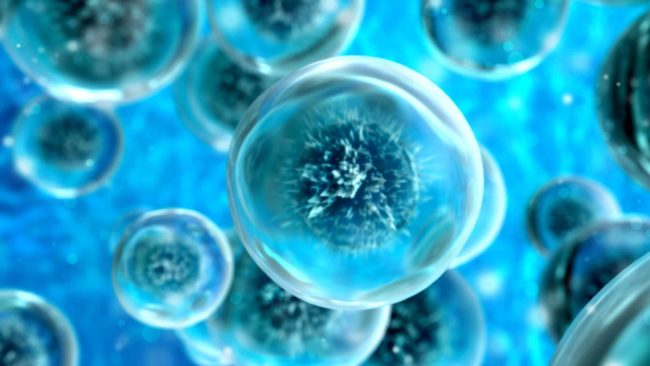 Cell,Abstract,Concept.,Under,Microscope.,3d,Render,Illustration